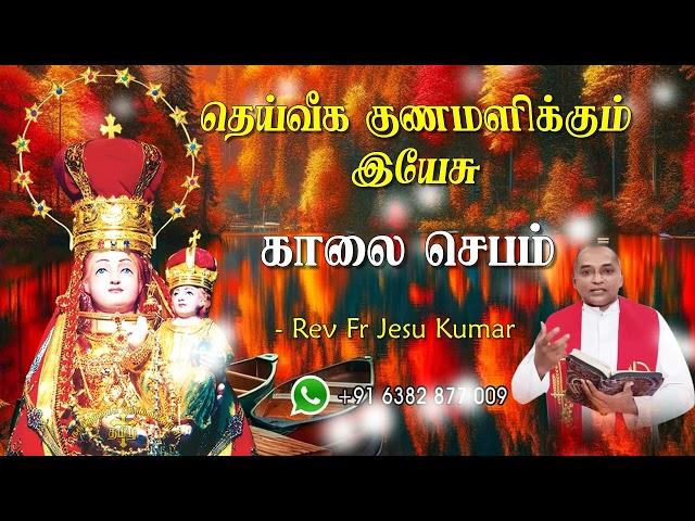 29.06.2024  - morning prayer - காலைஜெபம் - தெய்வீக குணமளிக்கும் இயேசு @TAMIL CATHOLIC ONLINE TV