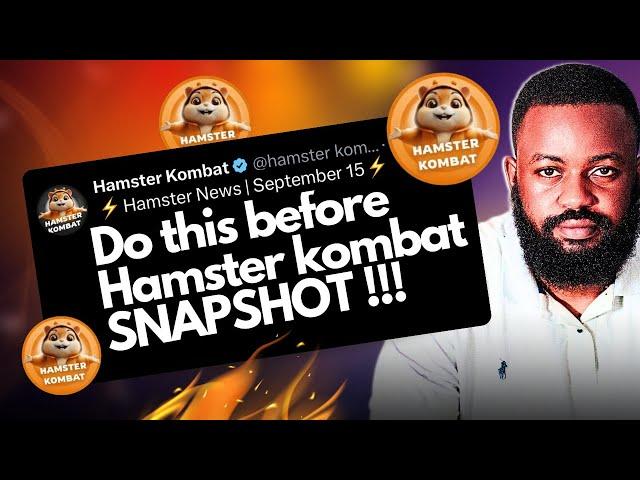 Hamster Kombat SNAPSHOT: Do This Fast Or Lose it All