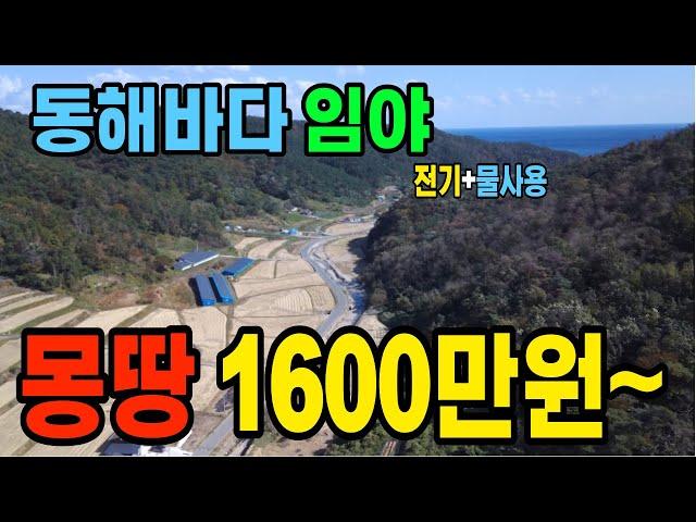 임야매물. 포항시 남구 구룡포 바닷가 8분거리 전기+물 사용 경북 포항 임야(경매) 달빛