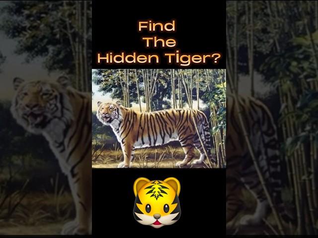 The Hidden Tiger | #shortsfeed #shorts #viral