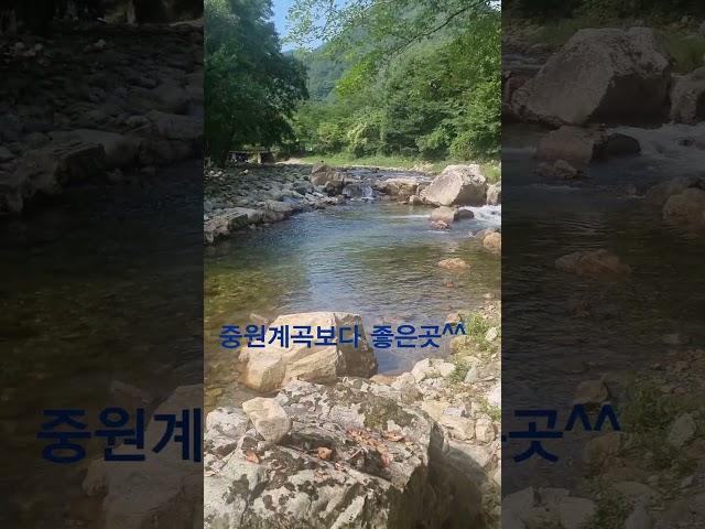 양평 1티어 계곡~~중원계곡은 2티어^^