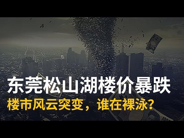 东莞松山湖楼价暴跌：楼市风云突变，谁在裸泳？ #东莞 #楼市 #暴跌 #泡沫 #楼价 #炒房 #房地产 #热搜  #