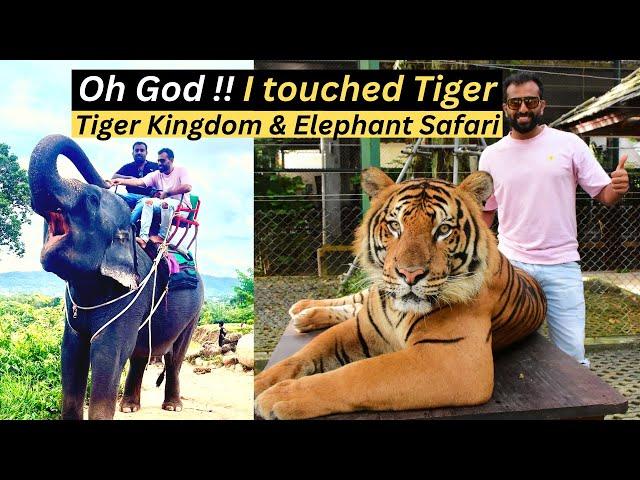 I Touched a Tiger...What Happened Next?  Phuket day Trip Part 2 