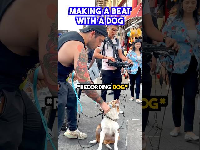 Made a beat LIVE with a DOG! ️ #dogsofinstagram #beatbox #musicproducer