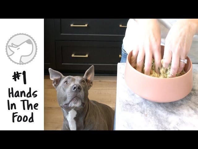 Food Aggression Myth - Hands In Your Dogs Food