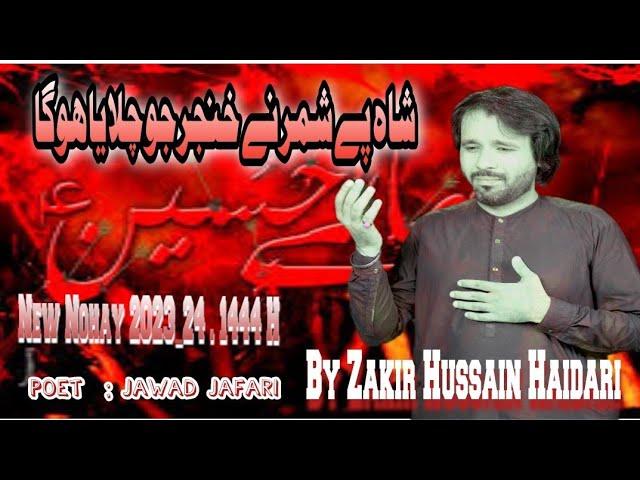 10th Muharram Ashura Noha Imam e Hussain  AS 2024| Zakir Hussain Haidari 10th Muharram Nohay 2024