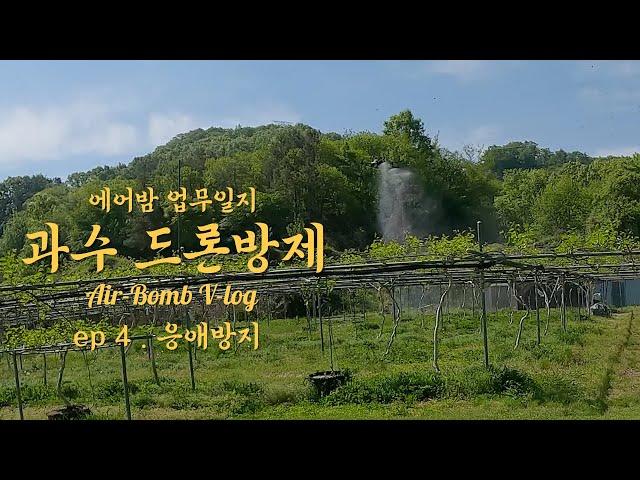 공주 과수원 드론방제