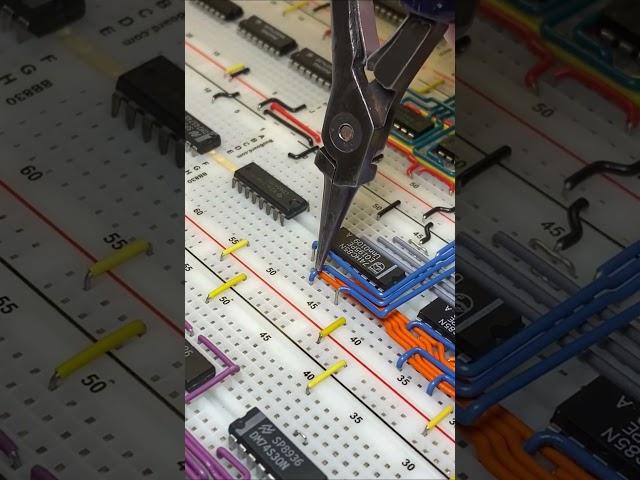 Masterful Breadboard Wiring – Satisfying Electronics Assembly! ️ #CircuitDesign