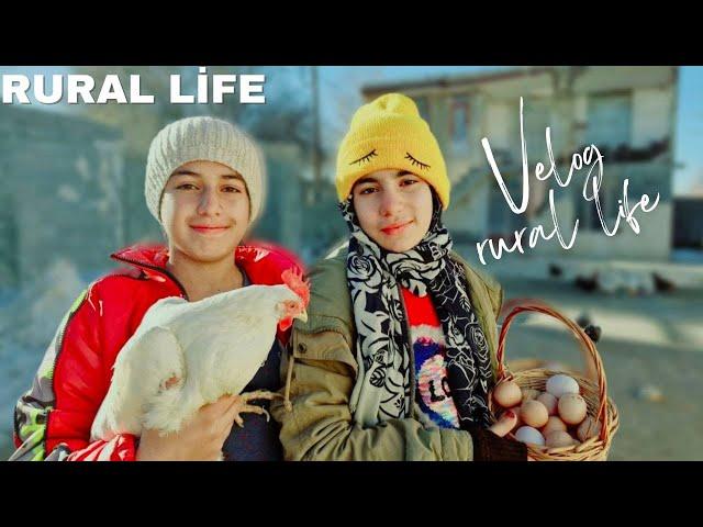 Routine Rural Life in a Village in IRAN: Cooking Chicken and Potato Under Charcoal in rural Life