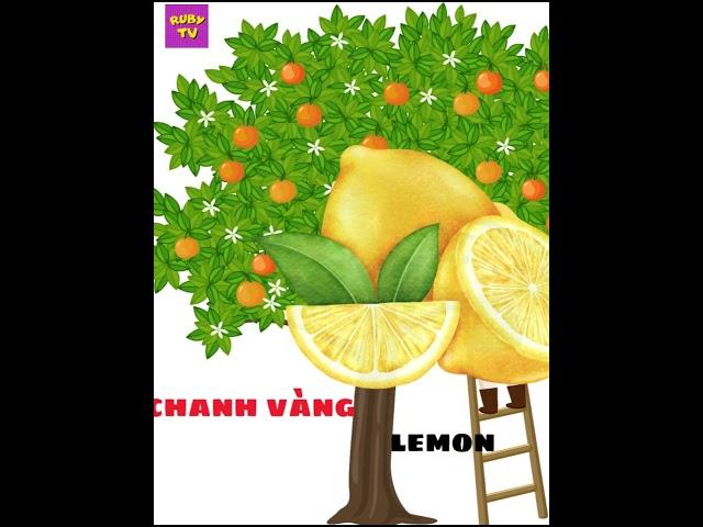Bé học từ vựng tiếng anh về các loại quả  #rubytv #behocnoi #quacam #tienganhchobe
