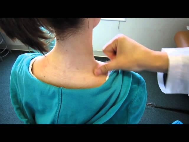 Dr. Tina Hou - Acupuncture Lesson 6