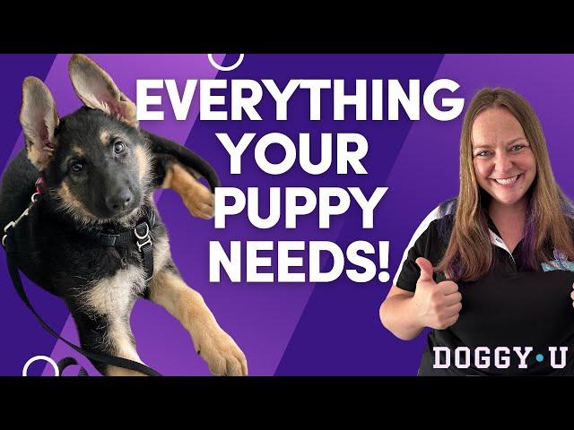 PUPPY ESSENTIALS: Everything You Need For Your New Puppy!