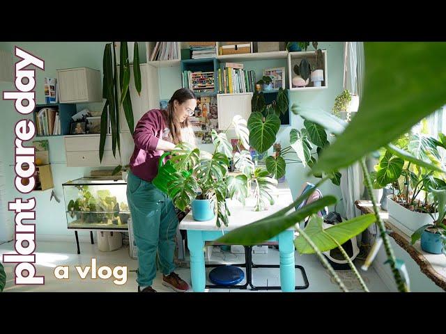 Water your plants with me - 300+ plants vlog | Plant with Roos