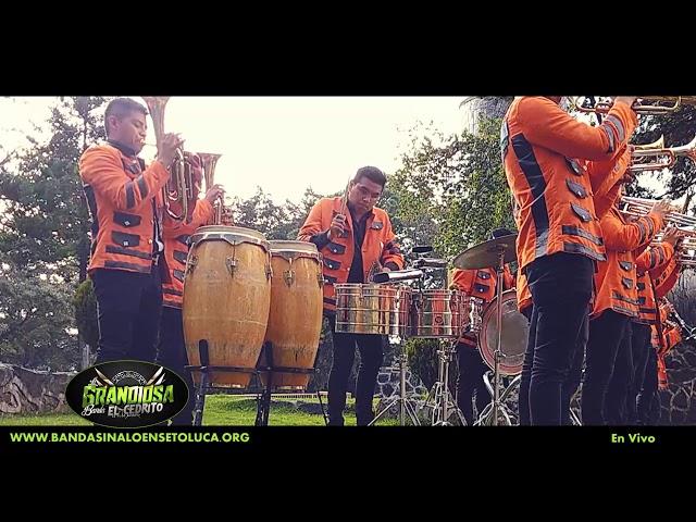 BANDAS EN TOLUCA | METEPEC