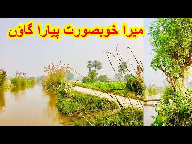 This is Punjab village life  beautiful village life in Pakistan 