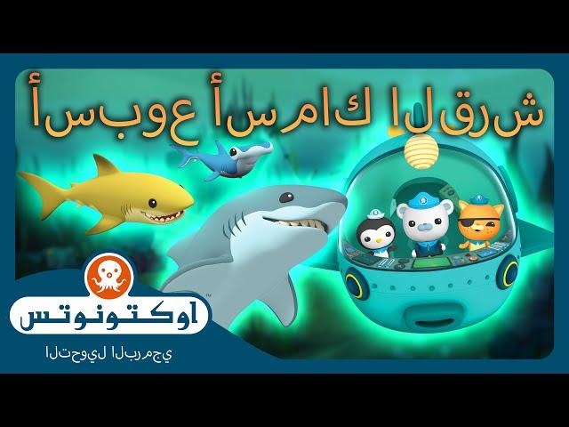 أوكتونوتس |  ماراثون أسبوع أسماك القرش!  | حلقات مجمعة