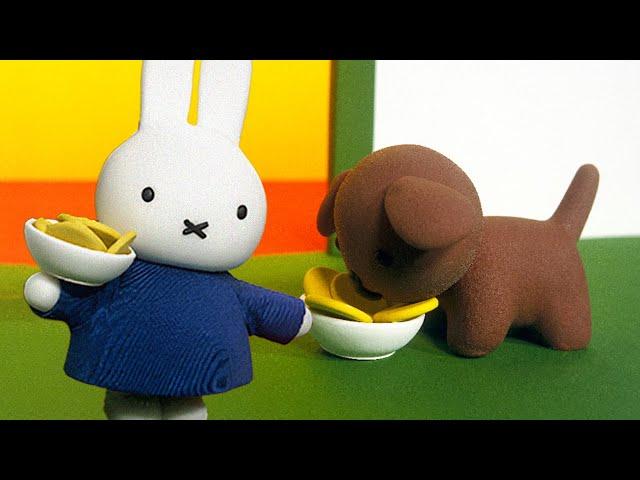 Biscuits for everyone! | Miffy and Friends | Classic Animated Show