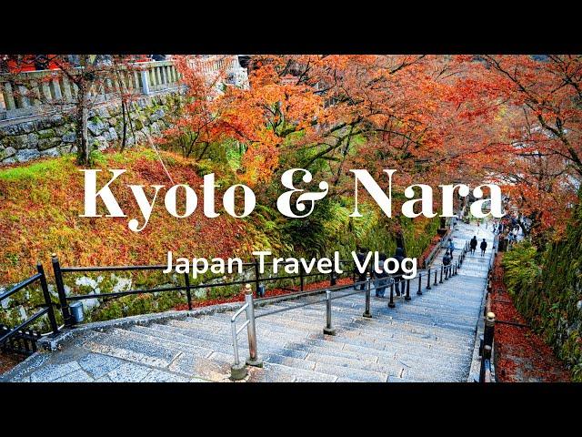 Trip to Kyoto & Nara | First Time in Japan  | Travel Vlog