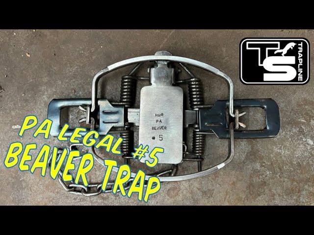 NEW PA Legal #5 Beaver Trap