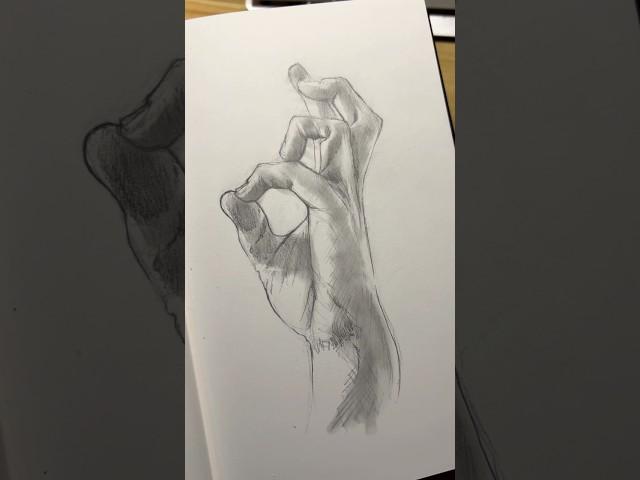 Hand study #drawing #artistdrawing ##shortsdrawing #shortvideo