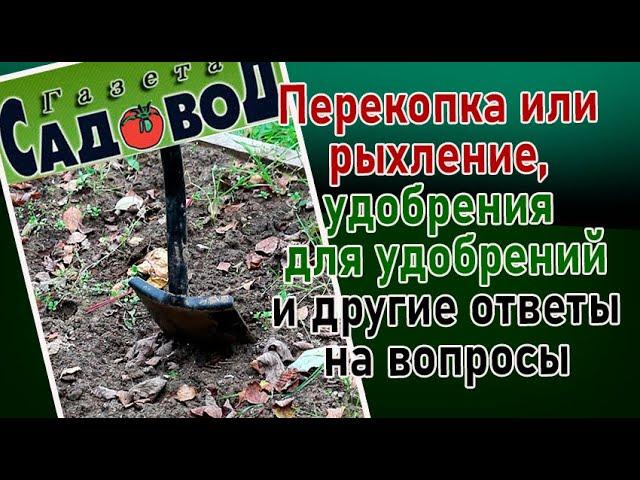 Перекопка или рыхление, удобрения для удобрений и другие ответы на вопросы