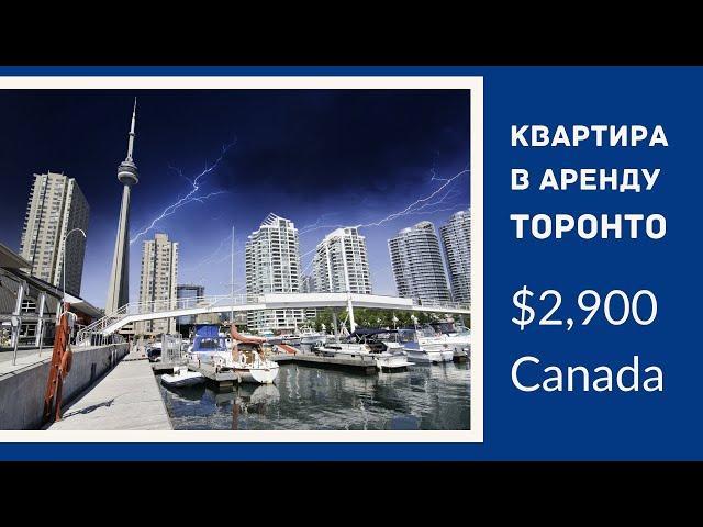 Квартира в аренду в Торонто.$2,600.
