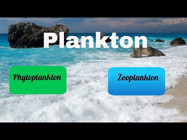 Difference between Zooplankton and Phytoplankton
