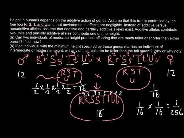 Quantitative genetics - how to solve problems