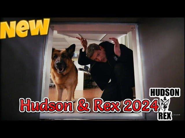 Hudson and Rex New 2024  Nightmare on Water St.  Best American Police Full Episodes