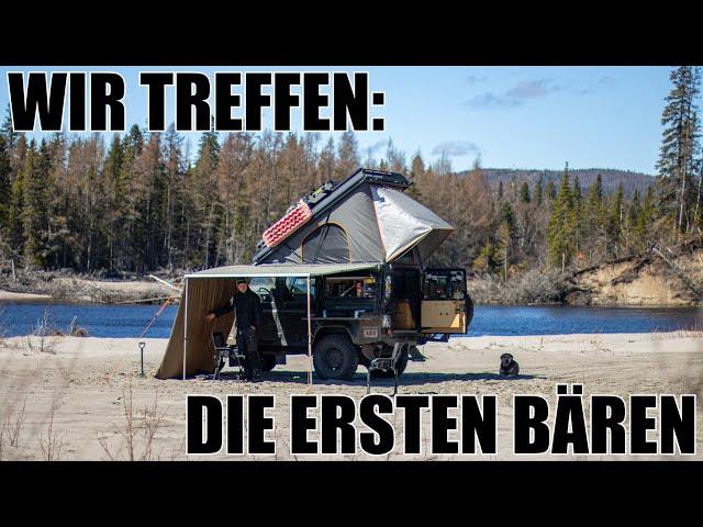 S1F5| Wir sichten die ersten Schwarzbären | Roadtrip durch Kanada im selbstausgebauten Defender