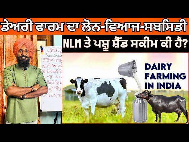 ਡੇਅਰੀ ਫਾਰਮਿੰਗ | Dairy Farm Business | Dairy Farm Loan in Punjab | Pashu Shed Yojana 2024, NLM Scheme