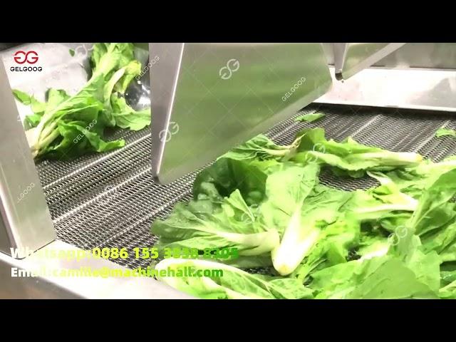 Leafy Vegetable Washing Processing Line From A To Z