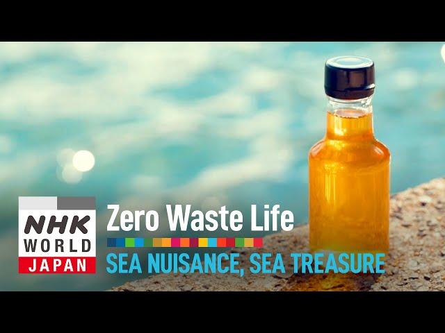 Sea Nuisance, Sea Treasure - Zero Waste Life