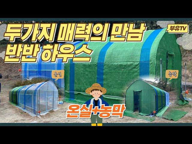 두가지 매력이 만났다! 농막 온실 반반하우스 | 부유코리아