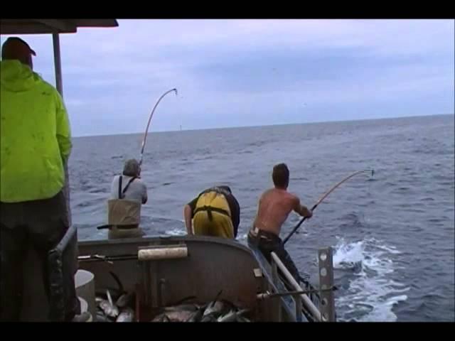 Jason Morris Tuna Fishing 2