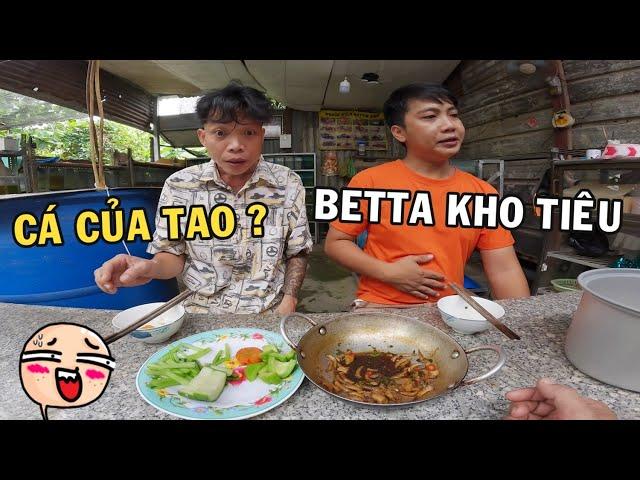 Trại Cá Bất Ổn - Anh Nhí hốt hoảng khi thấy món Cá Betta Kho Tiêu