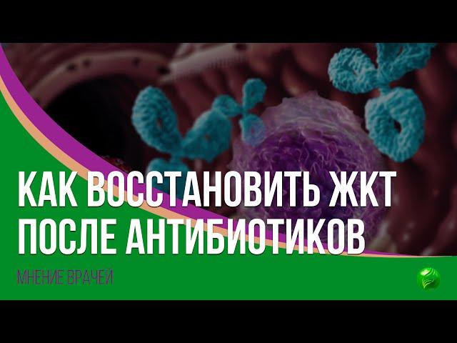 Как восстановить кишечник после приема антибиотиков