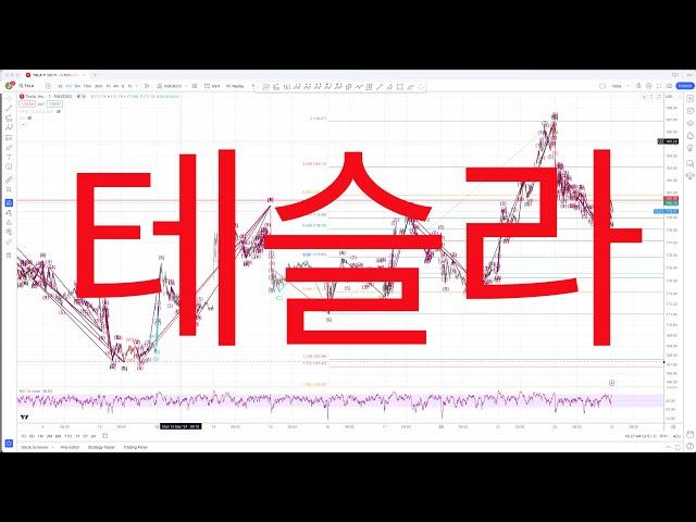 [테슬라] 나스닥이 폭락하는 와중에도 상승한 이유를 알아야합니다. 그래야 앞으로 테슬라 파동이 어떻게 움직일지 알 수가 있습니다. 2024 11 15