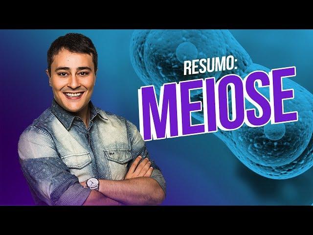 Ciclo Celular: Meiose | RESUMÃO | Prof. Paulo Jubilut