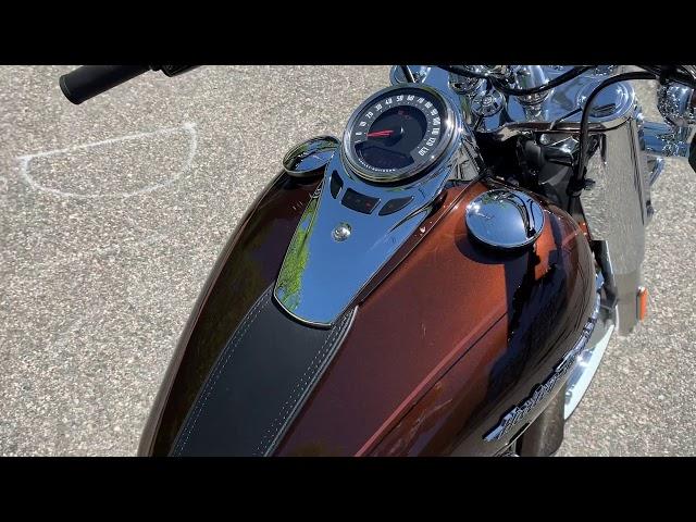 2019 Harley-Davidson Softail heritage in Rawhide