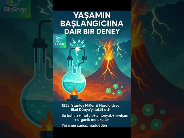 Yaşamın Başlangıcına Dair #miller #urey #dünya #laboratuvar #metan #amonyak #elektrik #aminoasit