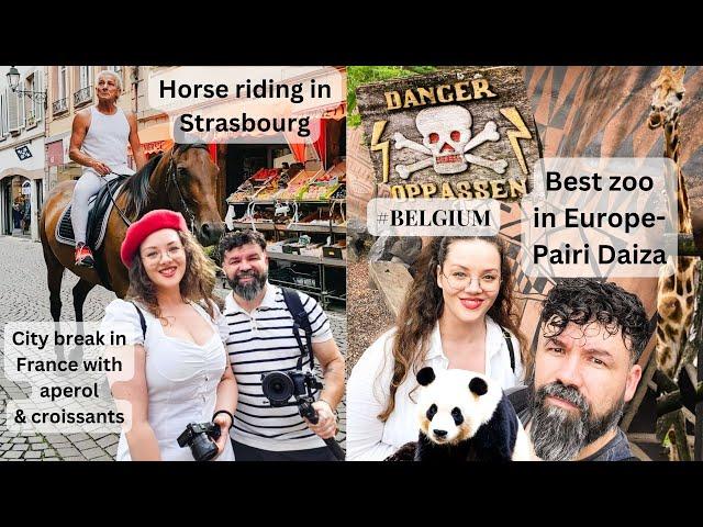 City break in France & Belgium | Episode 2 | Strasbourg & Pairi Daiza - THE BEST ZOO IN EUROPE