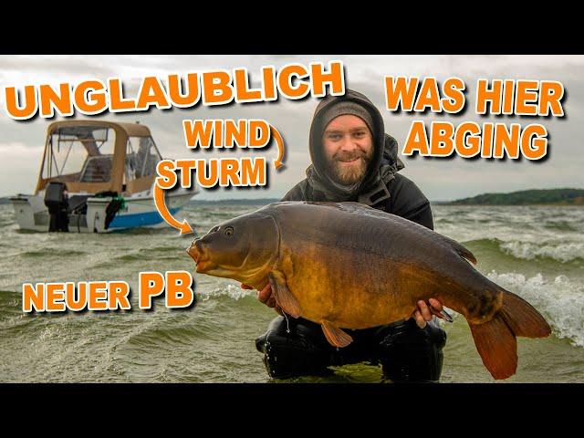 Bootskarpfen Vol. 5 - Karpfenangeln am Natursee - Wind bringt Fisch