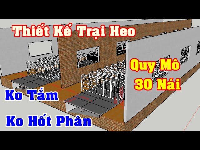 Thiết Kế Trại Heo 30 Nái phần 1 | khởi nghiệp TV