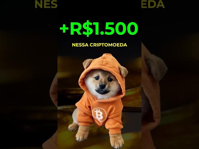 Investi R$1.500 na Dog a melhor meme coin atual! #dog #criptomoedas