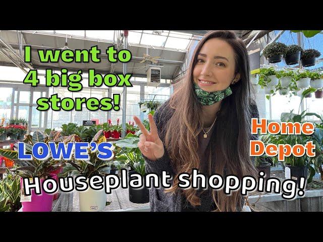 Go PLANT shopping with me at BIG BOX stores! | January 2022