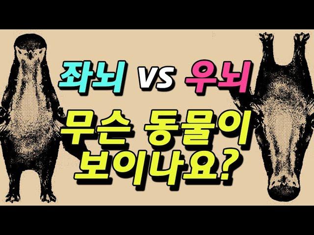 나는 어떤 뇌 유형을 가지고 있나? 좌뇌? 우뇌? (뇌성향 심리테스트)