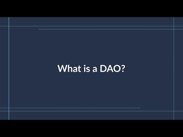 What is a DAO?