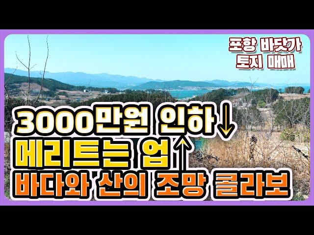 바닷가토지 매물 바닷가토지 매매 청하면 청진리의 포항 바닷가땅 매매 싼값 토지 바닷가 조망토지 바닷가 매매 포항 부동산 매매 포항 바닷가 토지 - 경북 부동산TV 포항 부동산TV