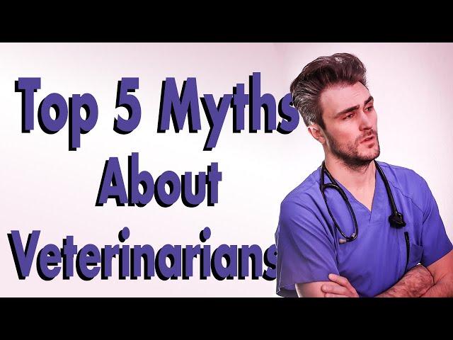 Top 5 Myths About Veterinarians - Dr Ross